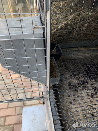 Кормушка бункерная для кроликов