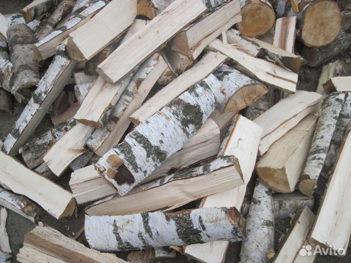 Дрова береза