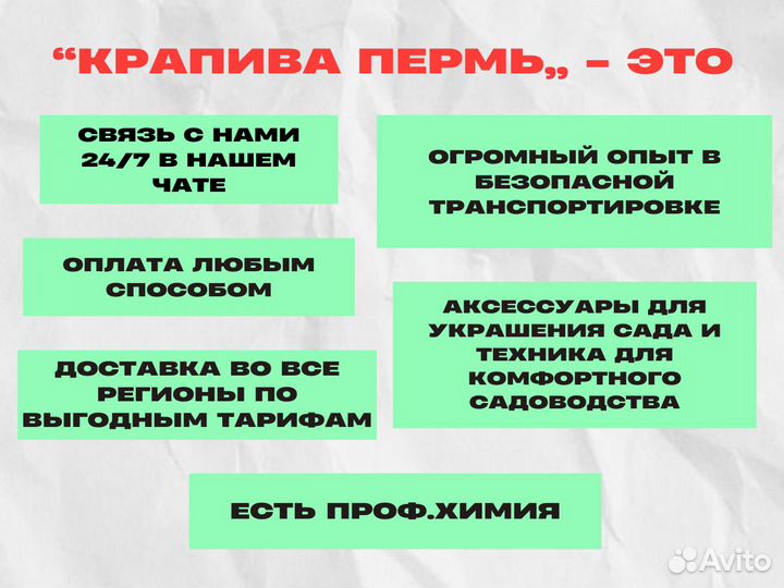 Рододендрон/Калсап/С7,5