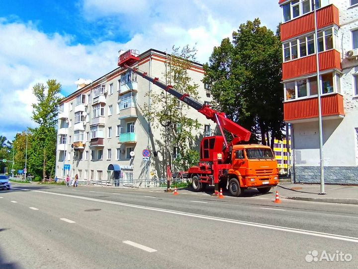 Аренда и услуги телескопической автовышки, 250 кг, 28 м