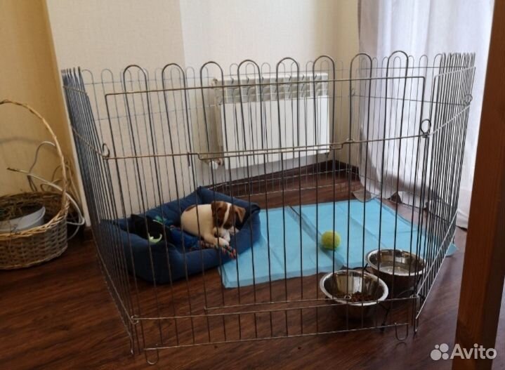 Вольер для собак