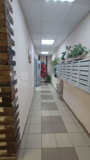 2-к. квартира, 54,1 м², 7/25 эт.