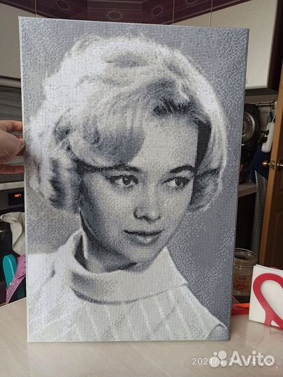 Алмазная мозаика - картина по фото