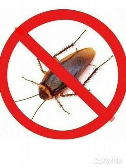 Профессиональная отрава, средство от насекомых