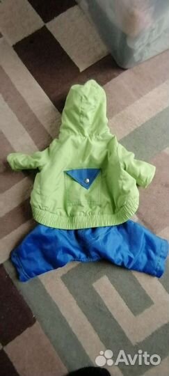 Дождевик для маленькой собаки