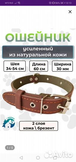 Одежда для собак