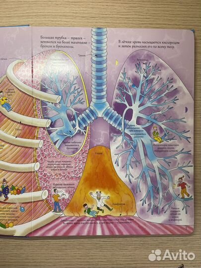Открой тайны человека
