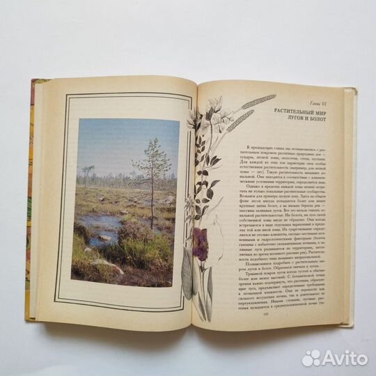 Книги о природе, растениях, о лесе с красивыми илл