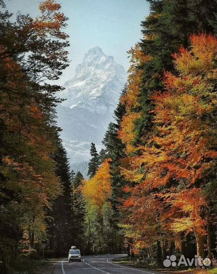 Путешествие Домбай на 2 ночи питание 3 раза