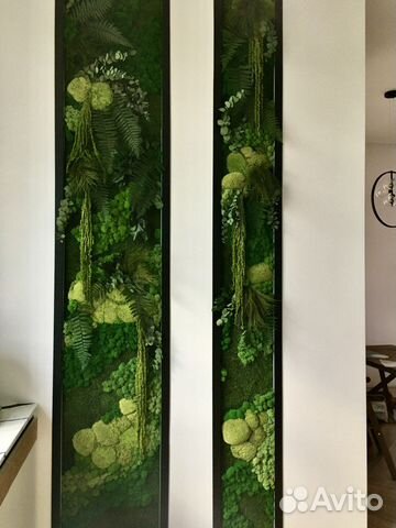 Фитостены из натур.мха и растений, Панно, Панели