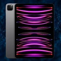 iPad Pro 11 (3-го поколения) (2021), Серый