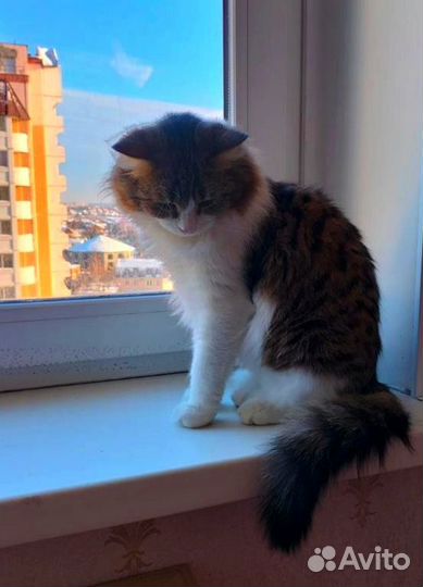 Мусенька 1,5 года