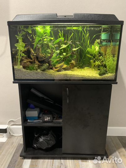 Аквариум с тумбой и всем содержимым 100л