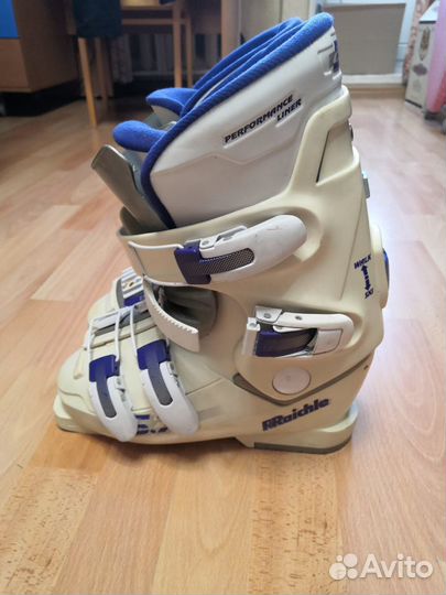 Горные лыжи