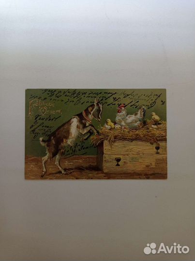 Почтовая Карточка