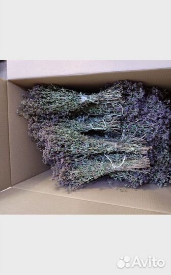 Душица сушеная