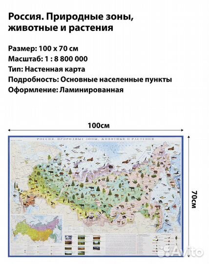 Карта природных зон России