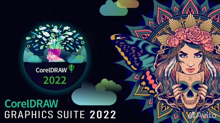Coreldraw Graphics Suite 2022 безлимитная лицензия