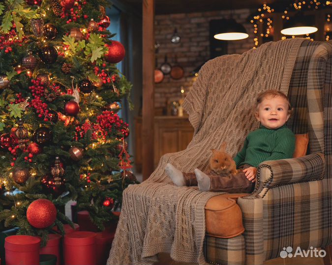 Новогодняя семейная фотосессия