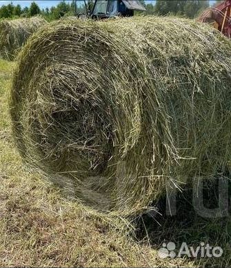 Сено в рулонах