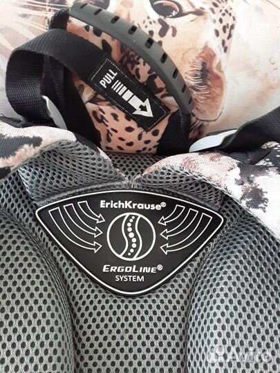 Рюкзак (Ранец) школьный Erich Krause