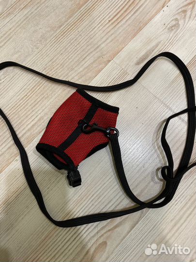 Шлейка для грызунов