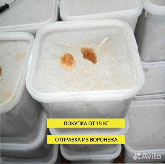 Мед оптом урожай 2023