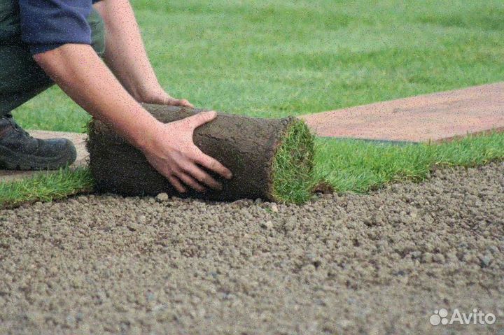 Рулонные газоны