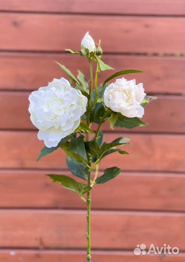 Искусственные цветы Пион