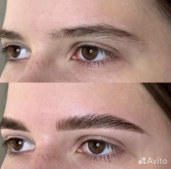 Мастер бровист