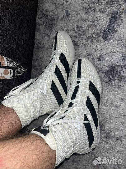 Боксёрки adidas box hog 3