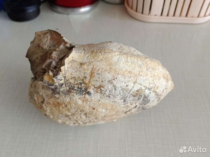 Кальцитовая конкреция