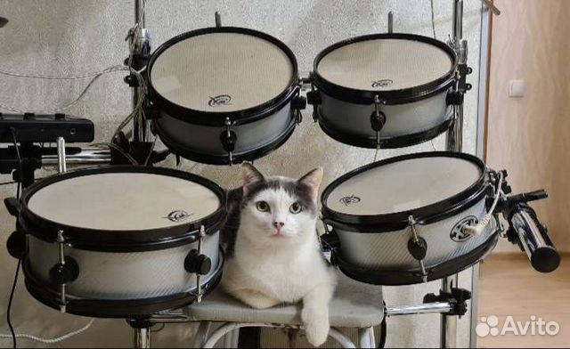 Электронная барабанная установка XSM-5S купить в Новокузнецке | Хобби и ...