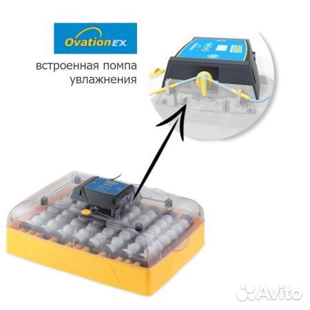 Инкубатор Brinsea Ovation EX 56