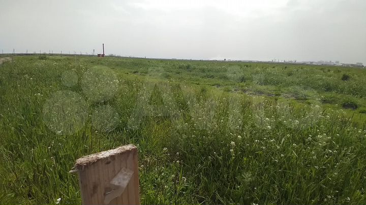 Участок 12 сот. (СНТ, ДНП)