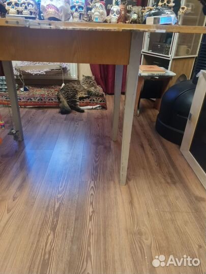 Черепа коллекция