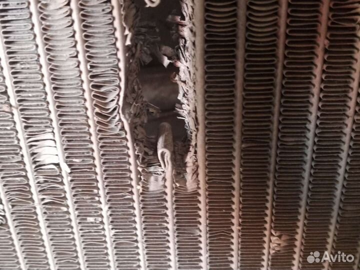 Радиатор Nissan