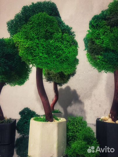 Декоративное дерево со мхом. Топиарий