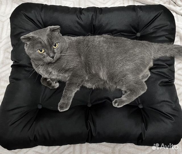 Лежанка для животных
