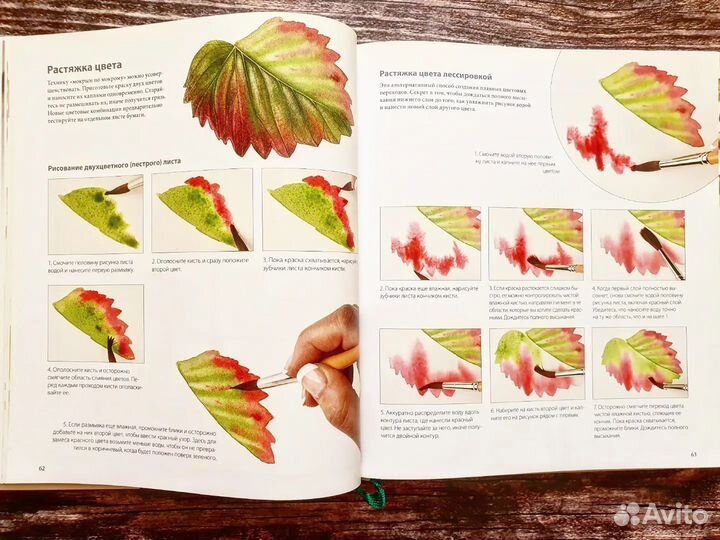 Шоуэлл Билли. Ботанические портреты