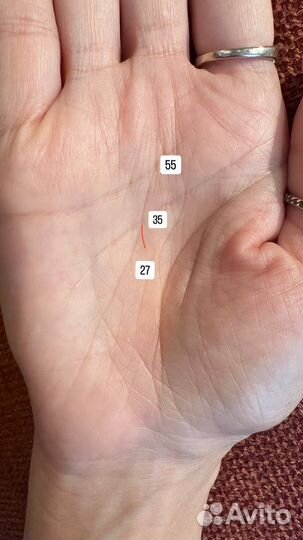 Хиромант,таро,нумеролог,обучение