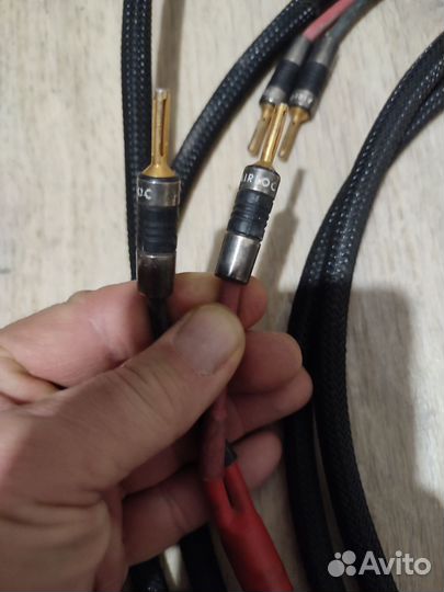 QED, made in apature