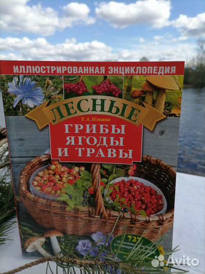 Книга. Лечебные рецепты