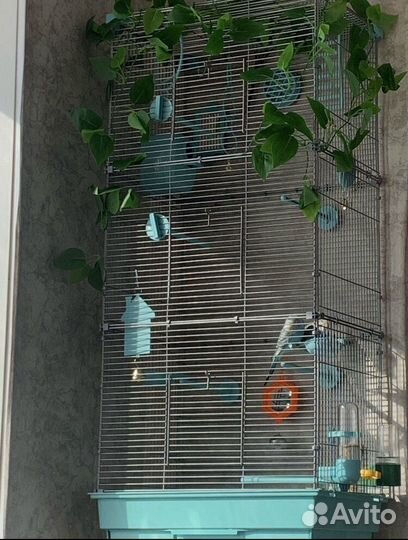 Домик-Клетка для попугаев и других птиц