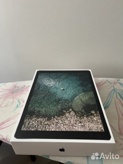 iPad pro 12.9(gen 2) 256gb + cellular