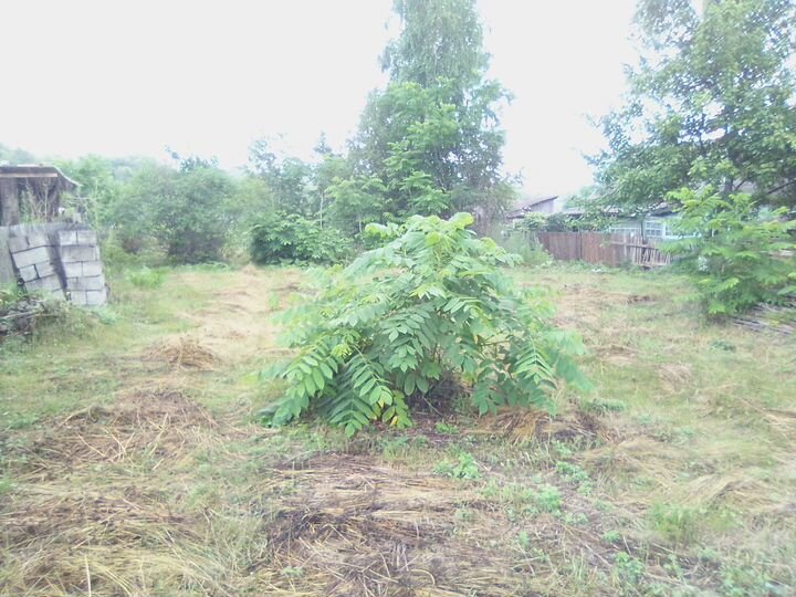 Участок 15 сот. (ИЖС)