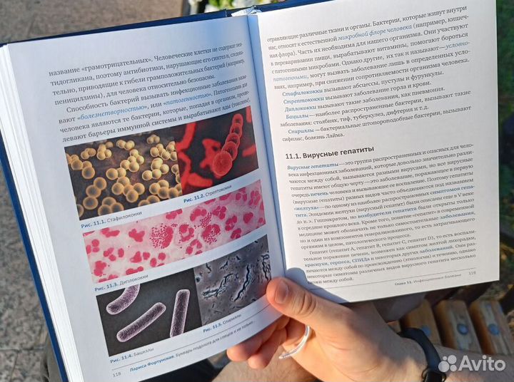 Букварь подолога для спецов и не только + словарь