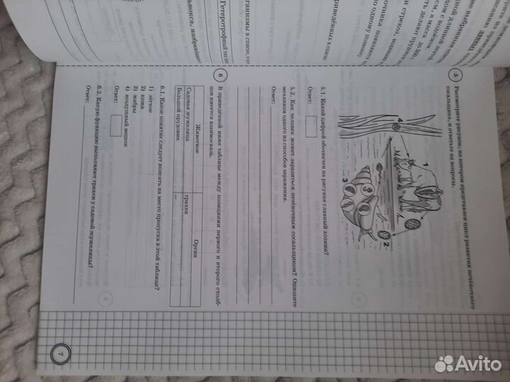 Впр по биологии 7 класс