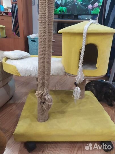 Домик когтеточка