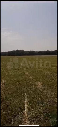 Участок 2 га (СНТ, ДНП)